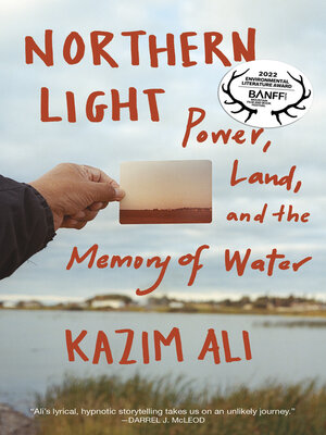 Northern Light - ebook